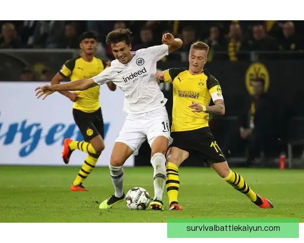 多特蒙德本赛季表现稳健，竞争力持续提升